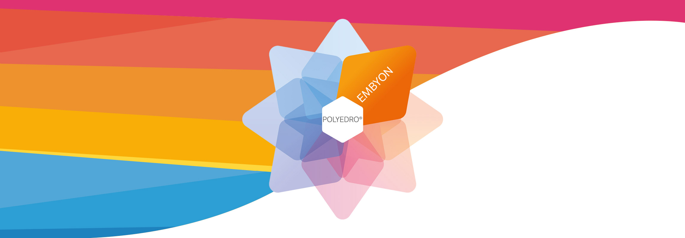 Embyon, su piattaforma Polyedro, è una soluzione modulare perfetta per lo sviluppo di Software Gestionali flessibili.